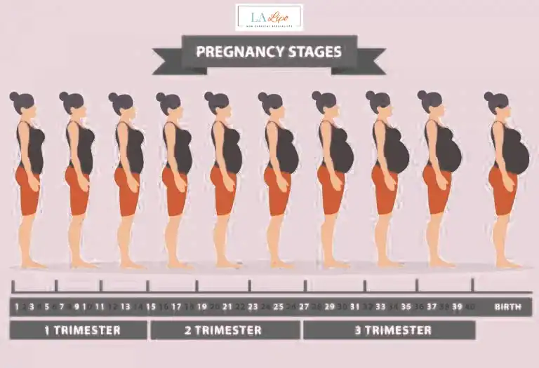First Trimester (Weeks 1–12): Early Changes You Might Not Notice Burton upon Trent